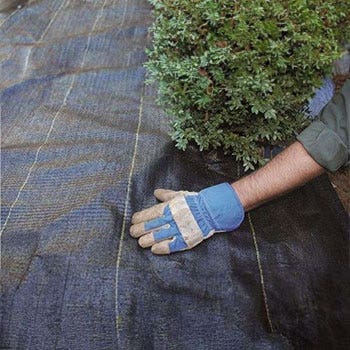 Landscape Weed Fabrics