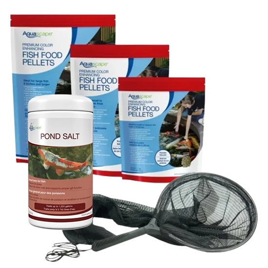 Koi & Pond Fish Care