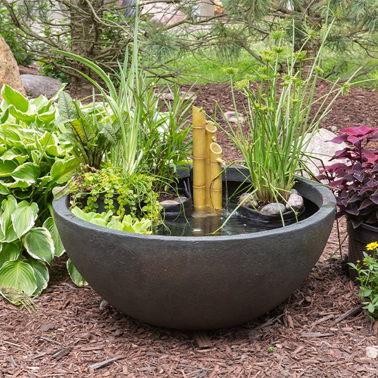Mini Ponds