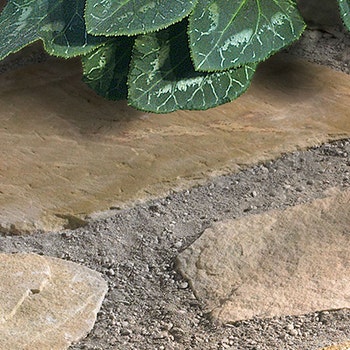 Polymeric Sands