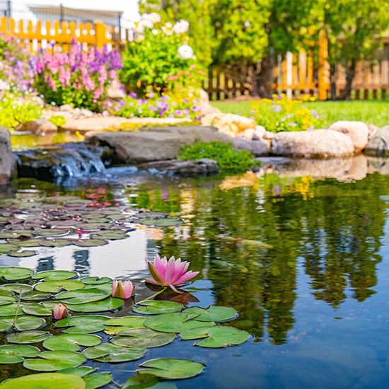 Pond Kits